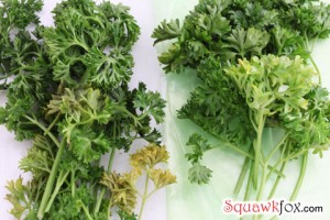 green bags parsley green bags parsley