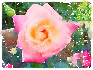 Painted in Waterlogue