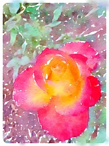 Painted in Waterlogue