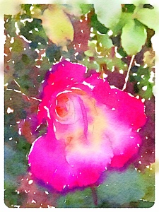 Painted in Waterlogue