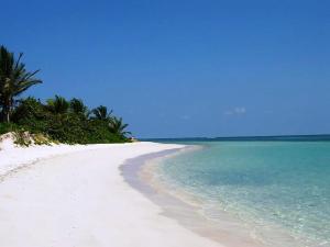 culebra-puerto-rico