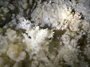 photo 3(2)