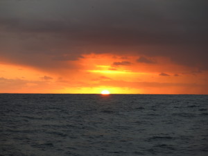 Sargasso Sea Sunrise 07