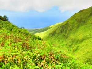 IMG_4409_1024