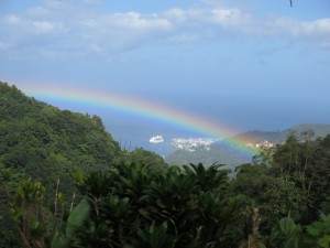Pot of Golden Glow is at each end of that rainbow. A boat on one end and a couple of Glowetts on the other.