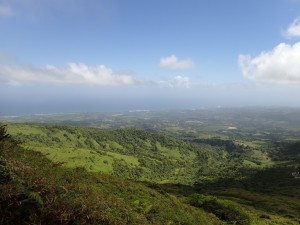 P3010170_1024