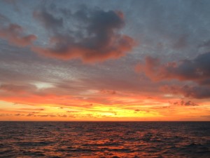 IMG_5032_1024