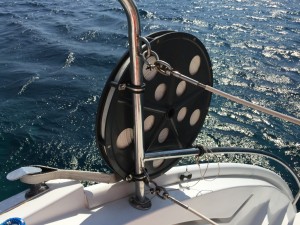 IMG_4774_1024