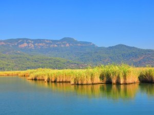 The Daylan River is bordered by reeds in many parts.