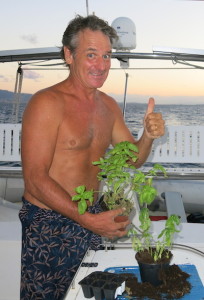 Gardening in the middle of the Med