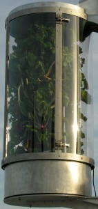 Mast mounted "Vertical Garden" on sailing vessel Plastiki